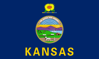 Kansas flag