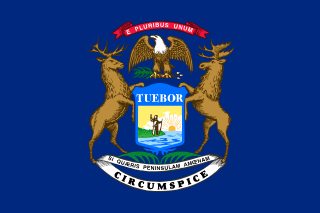 Michigan flag
