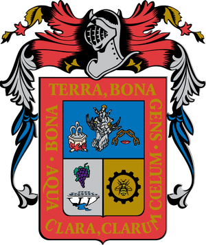 Aguascalientes flag