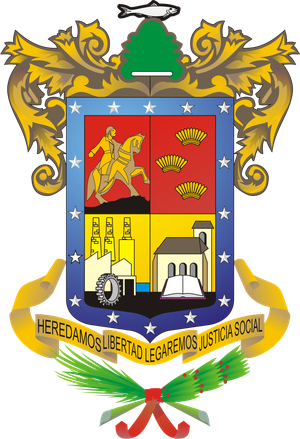 Michoacán flag