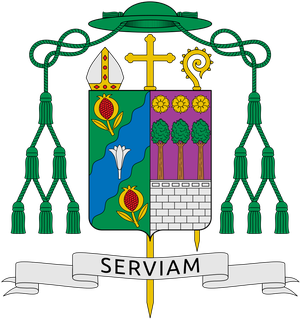 Morelos flag