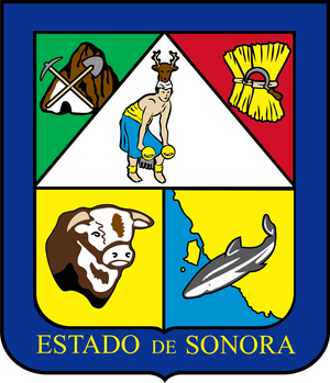 Sonora flag