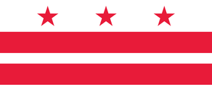 Washington DC flag